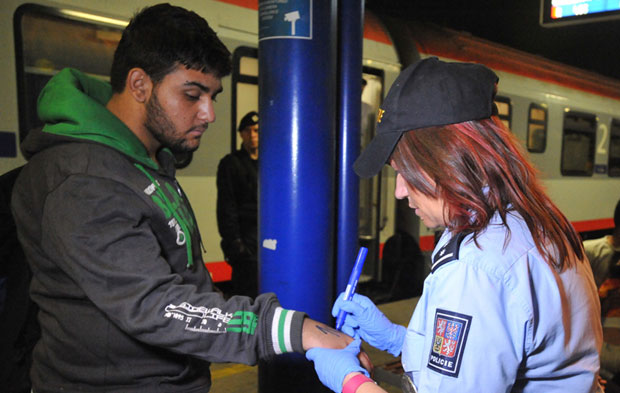 Жиг на мигранте